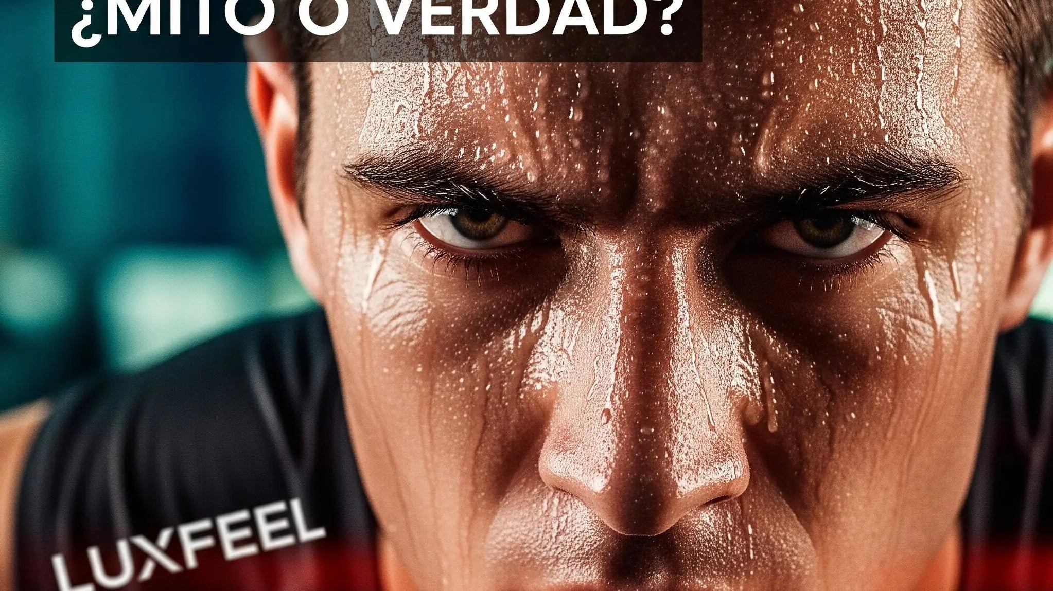 Beneficios de L-Carnitina: ¿El Secreto para Adelgazar o un Mito del Fitness? La Verdad según la Ciencia - LUXFEEL